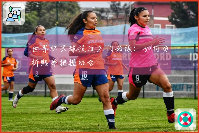 世界杯买球投注入门必读：如何分析赔率把握机会