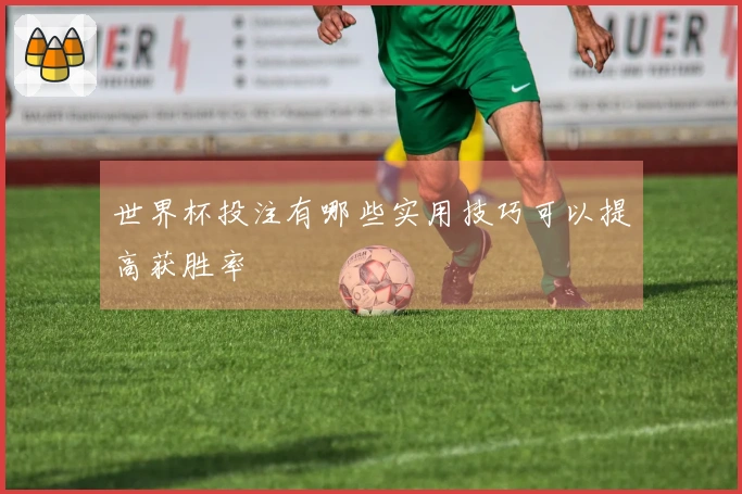 世界杯投注有哪些实用技巧可以提高获胜率
