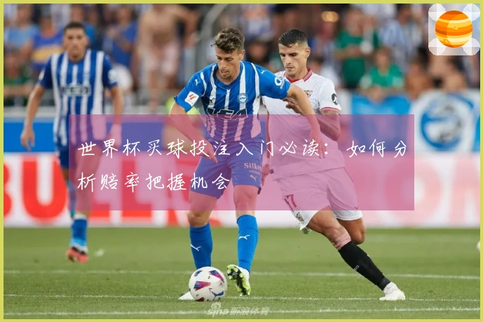世界杯买球投注入门必读：如何分析赔率把握机会