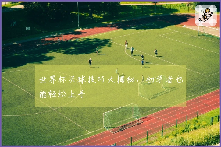 世界杯买球技巧大揭秘，初学者也能轻松上手