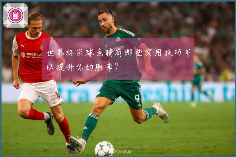 世界杯买球竞猜有哪些实用技巧可以提升你的胜率?