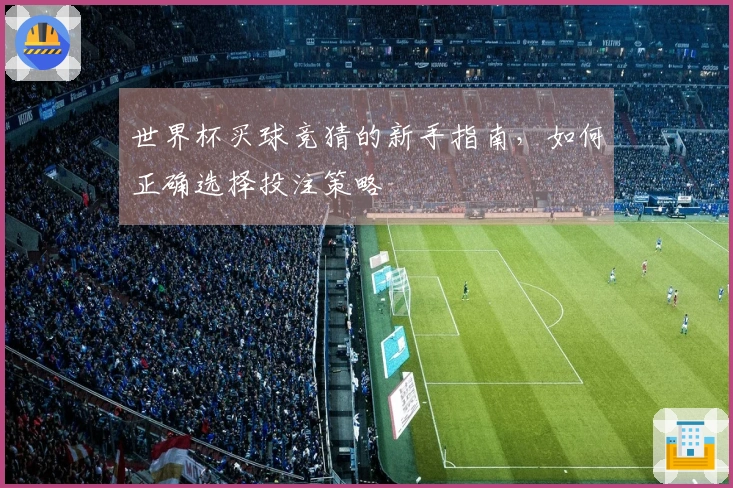 世界杯买球竞猜的新手指南，如何正确选择投注策略