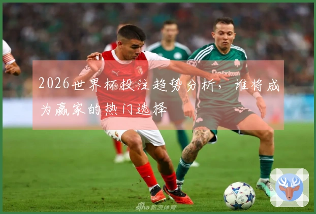 2026世界杯投注趋势分析，谁将成为赢家的热门选择