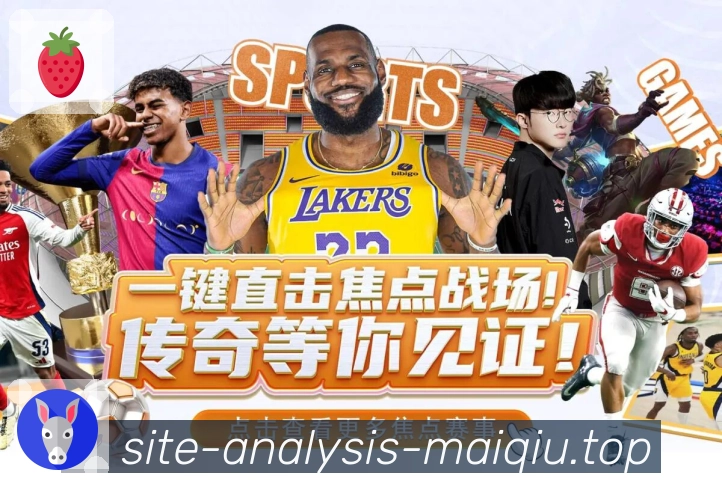 奖项证书